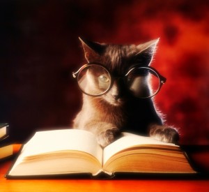 A charcoal domestic short-haired cat with large spectacles on gives the appearance of reading a book against a reddish background.