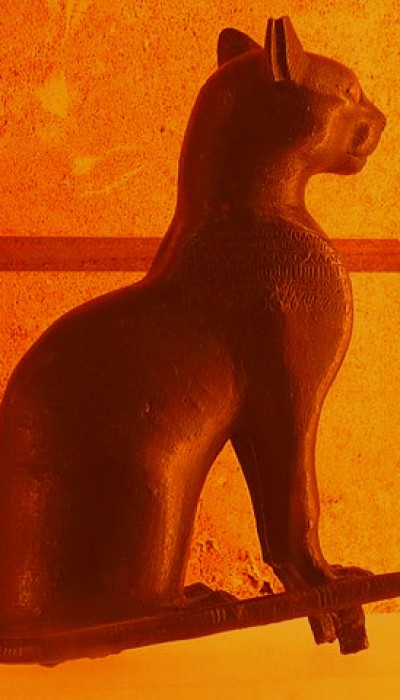 Shown above is a artistic variation of what Egyptian purebred cats may have looked like.