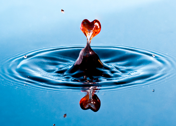 An artistic photo manipulation of a red heart forming out of a flat pond of water with its reflection below.